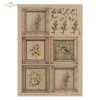 Conjunto Creativo MS048 - Floral Shabby Chic